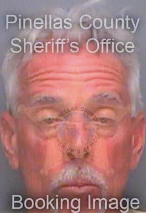 Shinholser James - Pinellas County, FL 