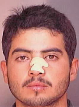 Suarez Luis - Polk County, FL 