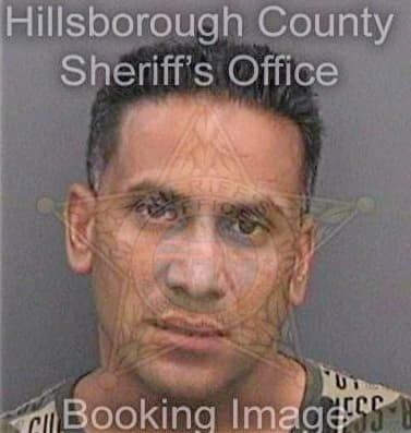 Shergill Amardeep - Hillsborough County, FL 