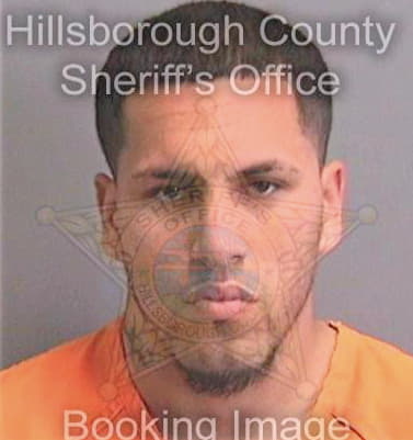 Rodriguez Andynson - Hillsborough County, FL 