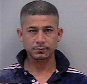 Alvarado Efren - Gwinnett County, GA 