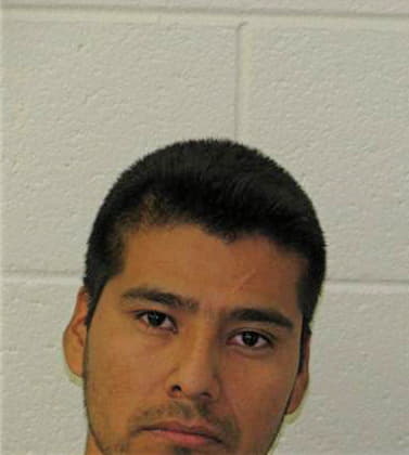 Hernandez Fernando - Newton County, GA 