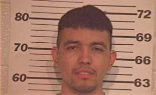 Hernandez Isaac - Hidalgo County, TX 