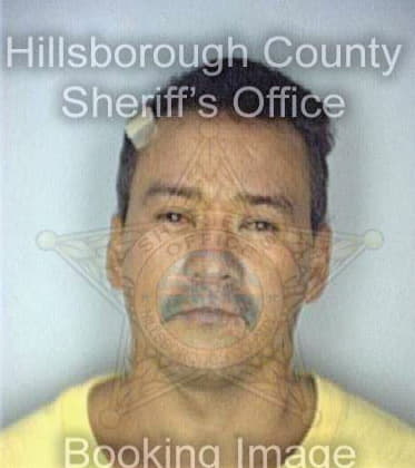 Cintron Victor - Hillsborough County, FL 