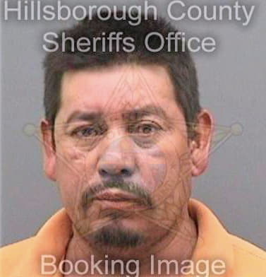 Gomezleon Jose - Hillsborough County, FL 