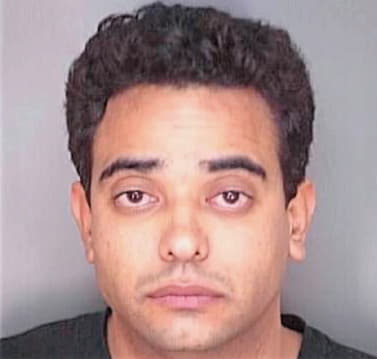 Nieves Luis - Polk County, FL 