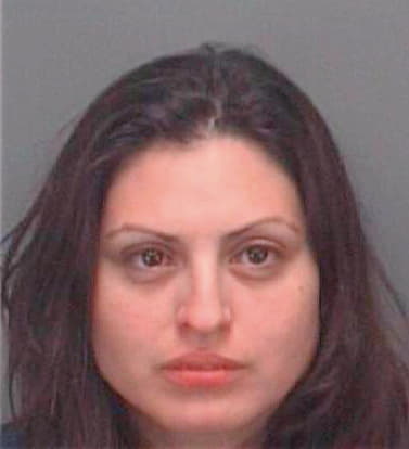 Villanueve Mariela - Pinellas County, FL 