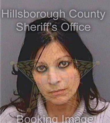 Lebron Diana - Hillsborough County, FL 