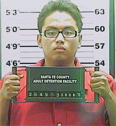 Hernandez-Gonzales Emmanuel - SantaFe County, NM 