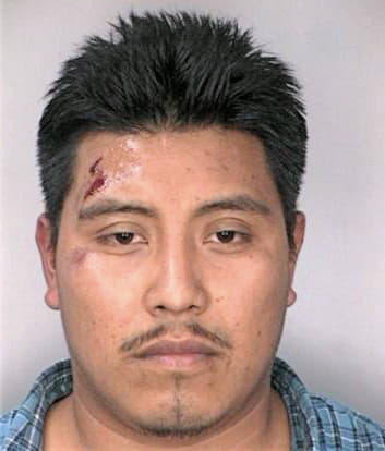 Gonzalezvelasquez Joel - Hillsborough County, FL 