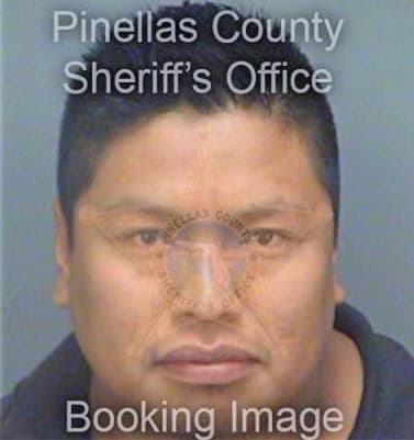 Caudozo Miguel - Pinellas County, FL 