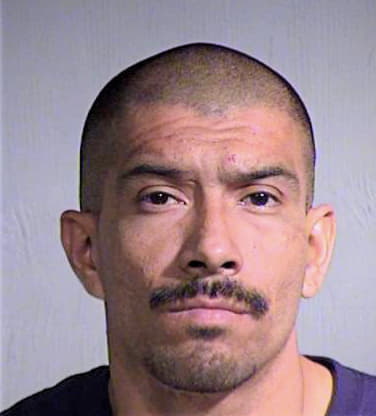 Pineda David - Maricopa County, AZ 