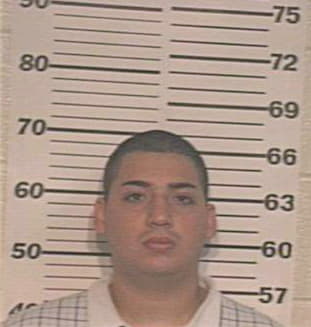 Garcia Ladislado - Hidalgo County, TX 