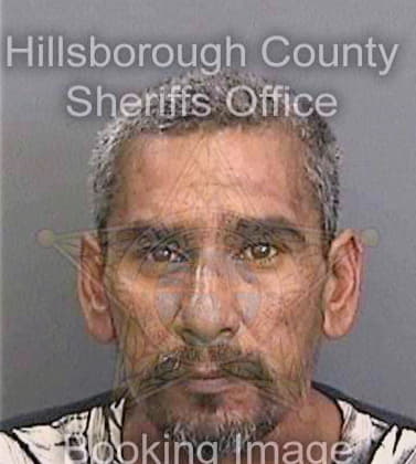 Obregon Pedro - Hillsborough County, FL 