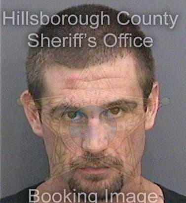 Salinas William - Hillsborough County, FL 