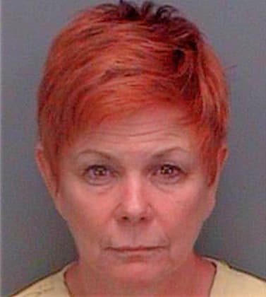 Glueck Cheryl - Pinellas County, FL 
