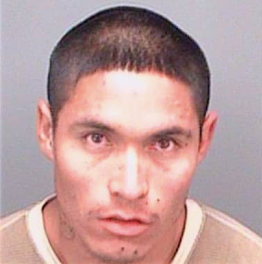 Marin Ismael - Pinellas County, FL 