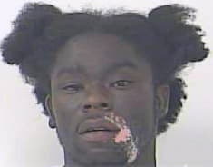 Singletary Robert - StLucie County, FL 