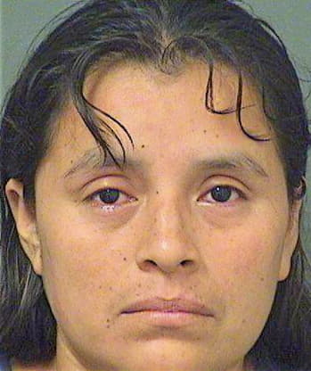 Gonzalezjuan Candelaria - PalmBeach County, FL 