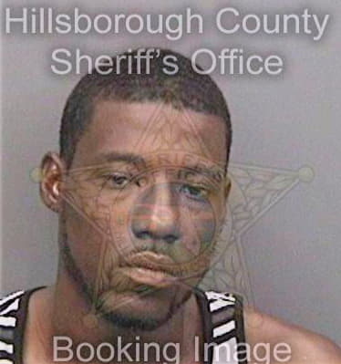 Hatcher Anthony - Hillsborough County, FL 