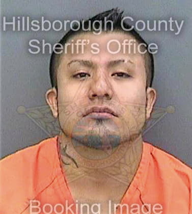 Zeferino Ernesto - Hillsborough County, FL 