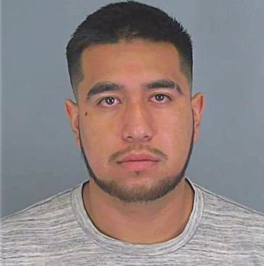 Silvahernandez Gabriel - Spartanburg County, SC 
