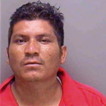 Garcia Gilberto - Lee County, FL 