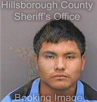 Ruizlunez Lorenzo - Hillsborough County, FL 
