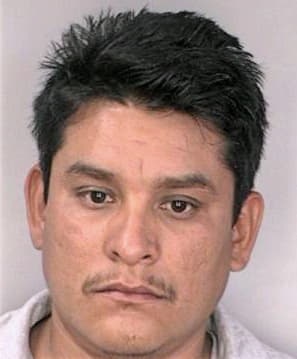 Torres Moises - Hillsborough County, FL 
