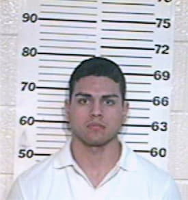 Garza Steven - Hidalgo County, TX 
