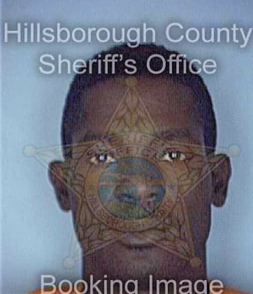 Robinson Theodore - Hillsborough County, FL 