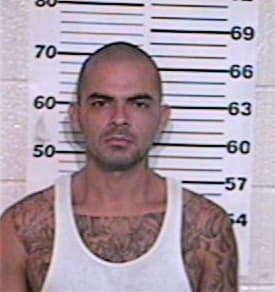 Herrera Gustavo - Hidalgo County, TX 