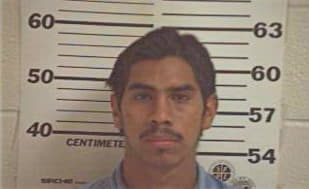 Gonzalez Jeronimo - Hidalgo County, TX 
