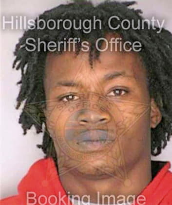 Robinson Michael - Hillsborough County, FL 