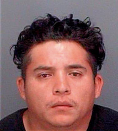 Sanchezvelazquez Rafael - Pinellas County, FL 