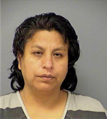 Francisco-Sanchez Rosa - Travis County, TX 