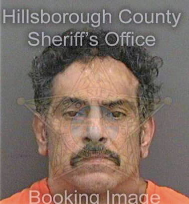 Vegaalvarez Francisco - Hillsborough County, FL 