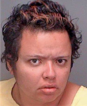 Santiago Lydia - Pinellas County, FL 