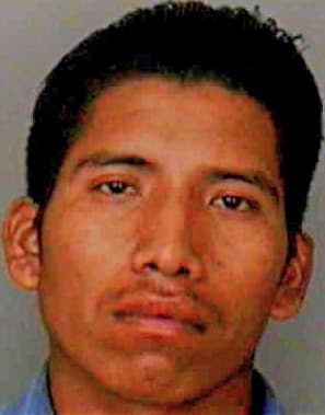 Hernandezhernandez Mardeleno - Polk County, FL 