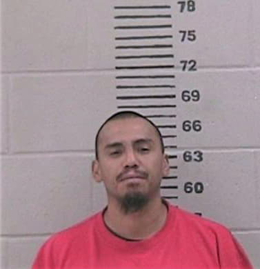 Cedillo Miguel - Gillespie County, TX 