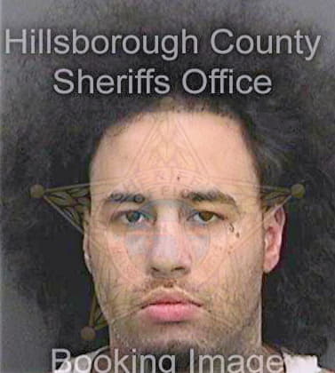 Tozzi Ronald - Hillsborough County, FL 