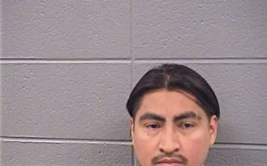 Hernandez Belman - Cook County, IL 