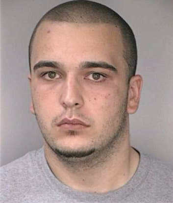 Krsmanovic Dragan - Hillsborough County, FL 
