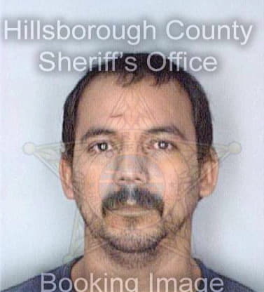 Vidal Saul - Hillsborough County, FL 