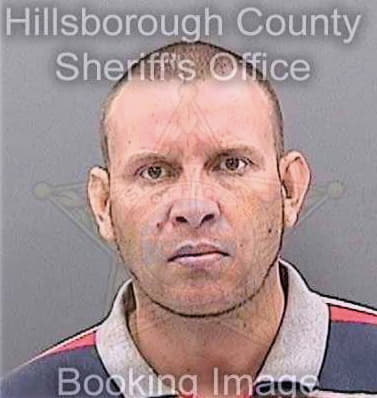 Cortes Willie - Hillsborough County, FL 