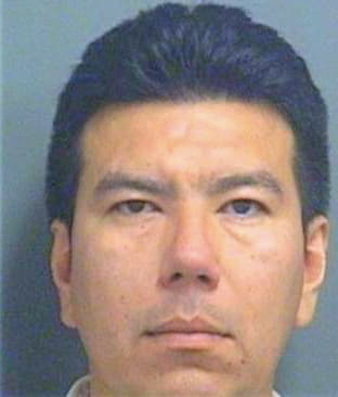 Silvestregonzalez Armando - PalmBeach County, FL 