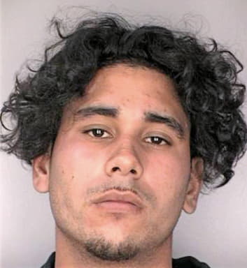 Negron Carlos - Hillsborough County, FL 