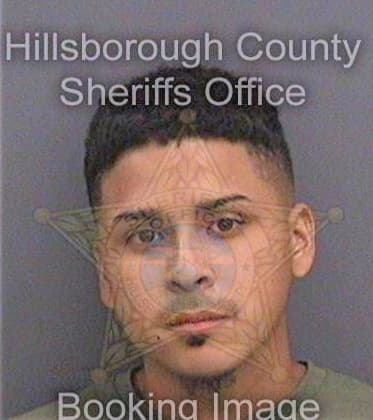 Feries Luis - Hillsborough County, FL 