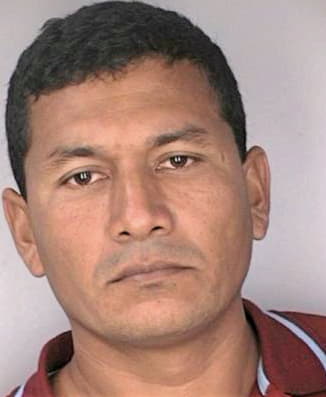 Diaz Nelson - Hillsborough County, FL 