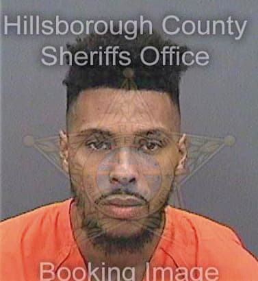 Robinson Walter - Hillsborough County, FL 